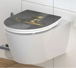 SCHÜTTE WC-Bril 82581 RELAXING FROG - High Gloss - Duroplast - Soft Close - Afklikbaar - RVS-Scharnieren - Decor - 1-zijdige Print -Thuis Badkamer 1200x1072 1