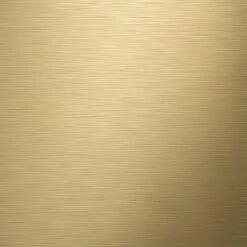 Tiger Tune - Toiletborstel Met Houder - Messing Geborsteld / Zwart -Thuis Badkamer 1200x1200 1729