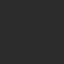 Tiger Tune - Toiletborstel Met Houder Vrijstaand - Zwart Metaal Geborsteld / Zwart -Thuis Badkamer 1200x1200 1772