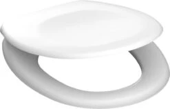 SCHÜTTE WC-Bril 82000 WHITE - Duroplast - RVS-Scharnieren - Gelakt - Wit -Thuis Badkamer 1200x766 2