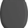 Allibert Wc-bril ATLAS - Geperst Hout - Afklikbaar - Met Regelplaat - Anthraciet Grijs Gelakt 1 Allibert Wc-bril ATLAS - Geperst Hout - Afklikbaar - Met Regelplaat - Anthraciet Grijs Gelakt -Thuis Badkamer 926x1200