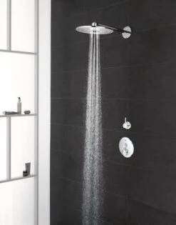 GROHE Euphoria 260 Hoofddouche - Regendouche ø 26 Cm - Eco - Met 3 Stralen - Chroom -Thuis Badkamer 940x1200 2